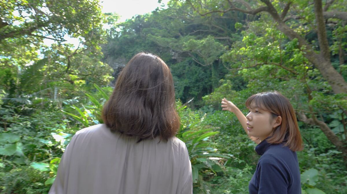 ガンガラーの谷